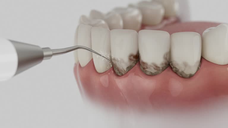 Reliable Dental contractor in Somerville, NJ by Dentist Open Now